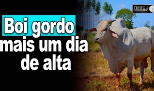 Tempo & Dinheiro