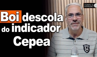 Tempo & Dinheiro