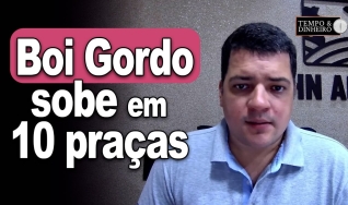 Tempo & DInheiro