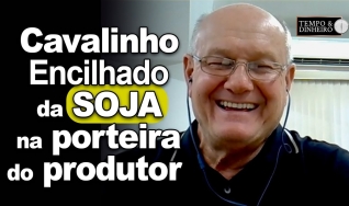 Tempo & Dinheiro