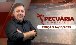 Pecuária e Mercado - Programa Completo