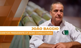 João Baggio - Diretor Presidente  G7 Agro Consultoria