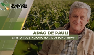 Adão de Pauli - Diretor do Sindicato Rural de Londrina/PR
