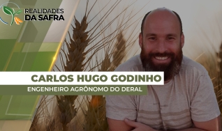 Carlos Hugo Godinho - Engenheiro Agrônomo do Deral