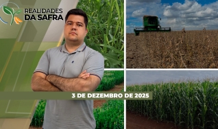 Realidades da Safra - Notícias Agrícolas