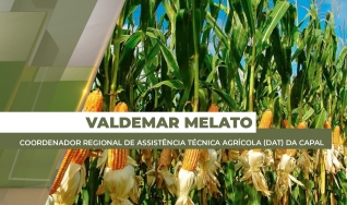 Valdemar Melato - Produtor Rural na região de Assis Chateaubriand/PR