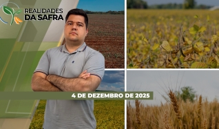 Realidades da Safra - Notícias Agrícolas