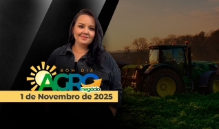 Bom Dia Agro - com Andressa Simão