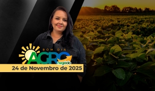 Bom Dia Agro - Com Carla Mendes