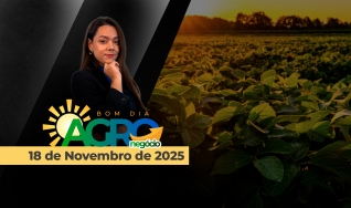Bom Dia Agro - com Andressa Simão