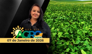 Bom Dia Agro