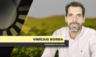 Dr. Vinícius Borba - Advogado