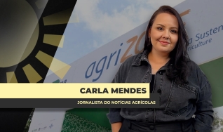 Carla Mendes