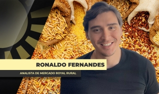 Ronaldo Fernandes - Analista de Mercado Royal Rural