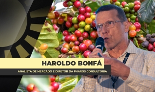 Haroldo Bonfá - Analista de Mercado e Diretor da Pharos Consultoria
