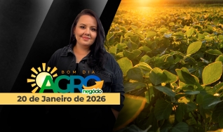 Bom Dia Agro - Com Carla Mendes