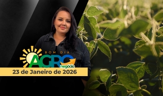 Bom Dia Agro - Com Carla Mendes
