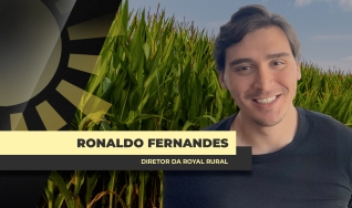 Ronaldo Fernandes - Analista de Mercado Royal Rural
