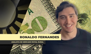 Ronaldo Fernandes - Analista de Mercado Royal Rural