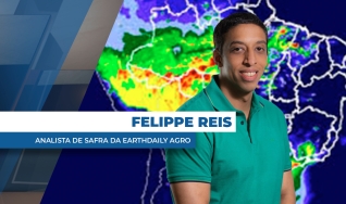 Felippe Reis - Analista de Safra da EarthDaily Agro
