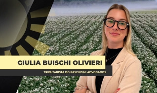 Giulia Buischi Olivieri - Tributarista do Paschoini Advogados