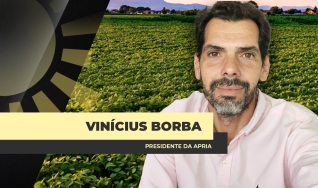 Dr. Vinícius Borba - Advogado
