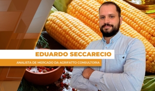 Eduardo Seccarecio - Analista de Mercado da Agrifatto Consultoria