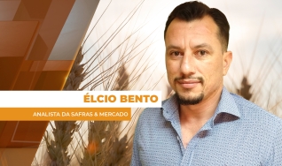 Élcio Bento - Analista da Safras & Mercado