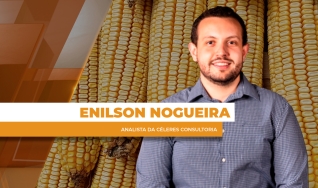 Enilson Nogueira - Analista da Céleres Consultoria