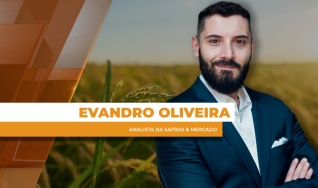 Evandro Oliveira - Analista da Safras & Mercado