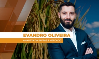 Evandro Oliveira - Analista de Mercado da Safras & Mercado