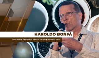 Haroldo Bonfá - Analista de Mercado e Diretor da Pharos Consultoria