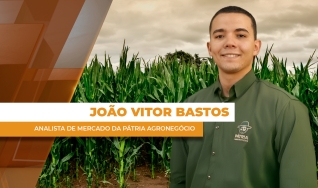 João Vitor Bastos - Analista de Mercado da Pátria Agronegócio