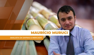 Maurício Muruci - Analista da Safras & Mercado