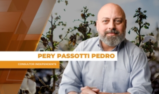Pery Passotti Pedro - Consultor Independente