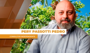Pery Passotti Pedro - Consultor Independente