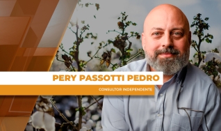 Pery Passotti Pedro - Consultor Independente