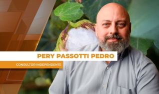 Pery Passotti Pedro - Consultor Independente