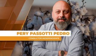 Pery Passotti Pedro - Consultor Independente