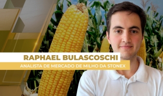 Raphael Bulascoschi - Analista de Inteligência de Mercado de Milho da StoneX