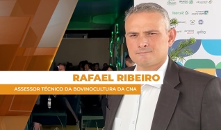 Rafael Ribeiro