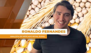 Ronaldo Fernandes - Analista de Mercado Royal Rural