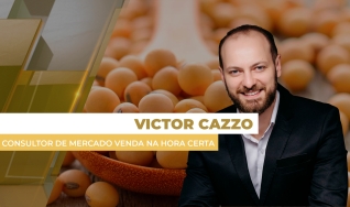 Analisando Sua Comercialização - com Victor Cazzo