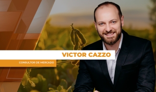 Analisando Sua Comercialização - com Victor Cazzo