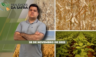 Realidades da Safra - Notícias Agrícolas