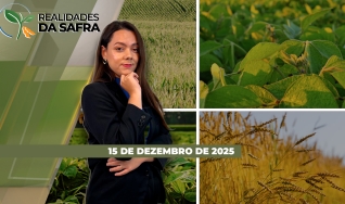 Realidades da Safra - Notícias Agrícolas