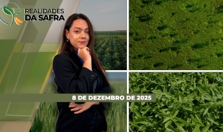 Realidades da Safra - Notícias Agrícolas