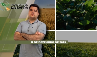Realidades da Safra - Notícias Agrícolas