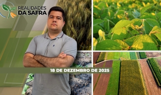 Realidades da Safra - Notícias Agrícolas