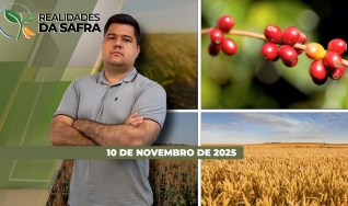Realidades da Safra - Notícias Agrícolas